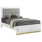 Caraway Wood Queen LED Panel Bed White