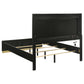 Caraway Wood Queen LED Panel Bed Black